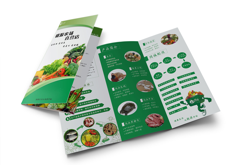內(nèi) 文.jpg